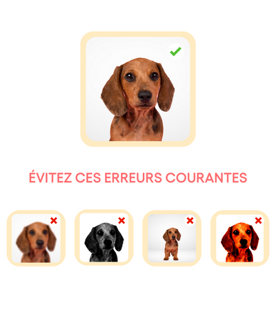 Pour un résultat clair et net